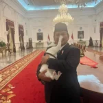 Prabowo Tampil Hangat Menggendong Kucing di Istana, Netizen Gemas dengan Momen Manis Ini!